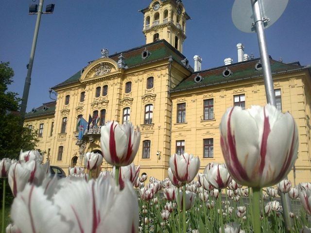 Szeged